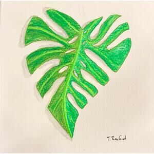 Hand painted watercolor original painting monstera leaf